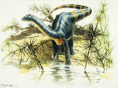 magyarosaurus1